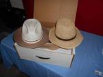 Pair of Men's Size 7 Summer Fedora Hats