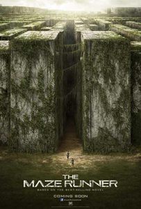 lot 61026 image: The Maze Runner Movie Poster (27 x 40)