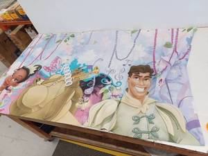 lot 27673 image: Disney Princess and the Frog Shower Curtain
