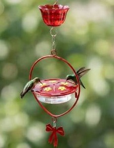 lot 27780 image: Kingsyard Oval Shape Tray Hummingbird Feeder with Ant Moat