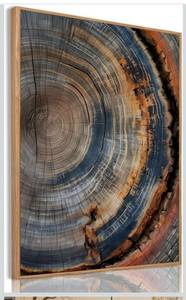 lot 6107 image: IBHJSART Framed Tree Ring Canvas Wall Art Vintage Colorful Wood Stump