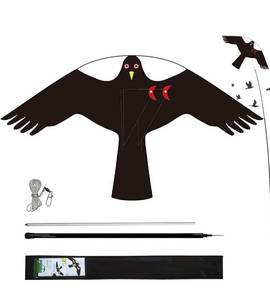 lot 6133 image: Bird Hawk Flying Kite