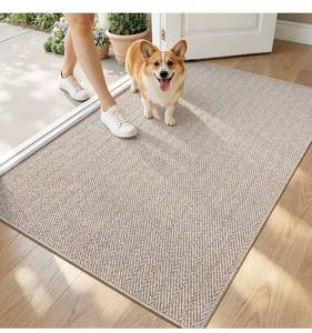 lot 6167 image: Ultra Thin Indoor Door Mat for Entrance 36x56, Non Slip Entryway Mat,