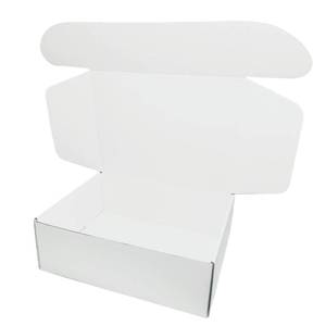 lot 5544 image: 12x9x4 inches Small White Mailers Boxes Recyclable Corrugated Gift Box for Packaging Shipping Set of 10