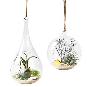 lot 5582 image: Mkono 2 Pack Glass Hanging Planter Air Fern Holder Terrarium Plants Hanger Vase Home Christmas Decoration Gift Idea for Succulent Moss Tillandsias Air Plants, Globe and Teardrop