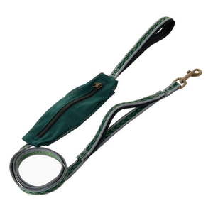 lot 25839 image: Vibrant Life Aztec Reflective Leash for Dogs With Small Storage Pouch, Green, Medium