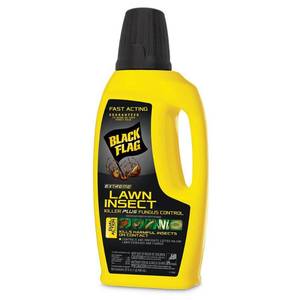 lot 25909 image: Black Flag Concentrate Extreme Lawn Insect Killer Plus, Lot of 2