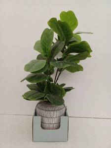 lot 25966 image: 32 Inch Artificial Fig Plant