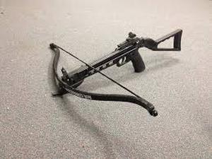 lot 18900 image: NcStar Crossbow