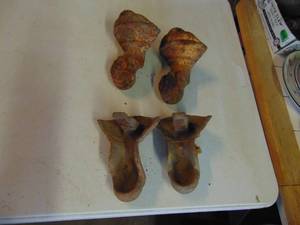 lot 3828 image: 4 Cast Claw Feet - large