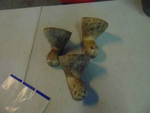 lot 3831 image: 3 Cast Feet