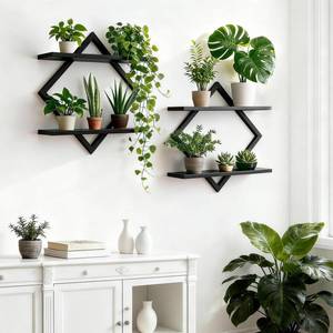 lot 5655 image: TALVADI Set of 2 Wall Plant Holder Wall Planters for Indoor Plants Window Plant Shelves Plant Stand Indoor Floating Wall Shelves for Plant Hanger Indoor for Plants, Books, Photos wall Decor (Black)