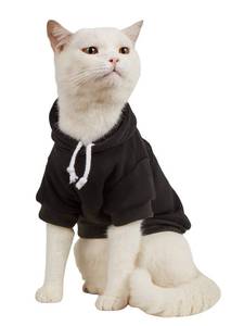 lot 6485 image: QWINEE Basic Dog Hoodie Sweatshirt Puppy Sweater Warm Cat Costumes Pet Clothes for Chihuahua Puppy Kitten Small Medium Dogs Black Small