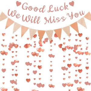 lot 6489 image: We Will Miss You Banner - Rose Gold Going Away Party Decorations Good Luck Banner Pennant Garland for Graduation Farewell Retirement Goodbye Coworker Leaving Party Decoration Supplies