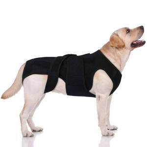 lot 12263 image: LeleTail Dog Spine Support Brace for Large Breeds - Heavy Duty Back Support Brace with 5 Reinforced Rods, Adjustable for Joint Support or Post-Surgery Needs, Black XL