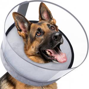 lot 17197 image: BARKLESS Dog Donut Collar, 2-in-1 Inflatable Dog Collars for After Surgery to Stop Licking Wounds, Patented Protective Donut Cone with Higher Shield for Large Pets (Grey, XL-Long)