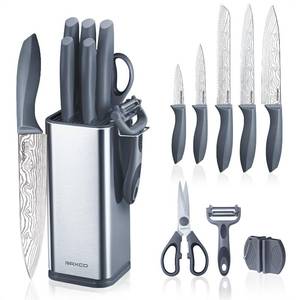 lot 19858 image: RAXCO 10-Piece Kitchen Knife Set  Stainless Steel Holder  Compact Design - Gray
