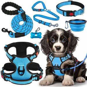 lot 1129 image: LOBEVE No Pull Dog Harness, Collar & Leash Set  Includes Dog Seat Belt, Collapsible Bowls & Poop Bag Dispenser. Ideal for Training, Walking, Hiking. Fits Small to Large Dogs(Blue-S)