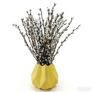 lot 2352 image: Lanmik 60 Stems 100% Natural 17.5 Inches Real Pussy Willow Flowers Pussy Willow Branches for Vases White Pussywillows for China Spring Festival Easter Wedding Home Party Hotel Fireplace Decor
