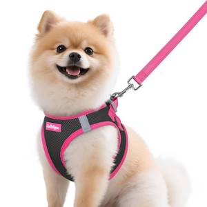lot 2401 image: rabbitgoo Dog Harness Small Sized and Leash Set, Step-in Breathable Pet Harness, Soft Walking Reflective Puppy Vest for Small Dogs, Black & Rose Red, M