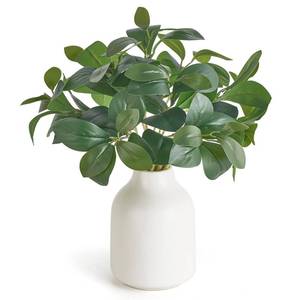 lot 6072 image: Dahey Fake Plants in Small Ceramic Vase Realistic Artificial Faux Plants Indoor Modern Farmhouse Table Centerpieces for Bathroom Kitchen Shelf Living Room Home Greenery Decor, White
