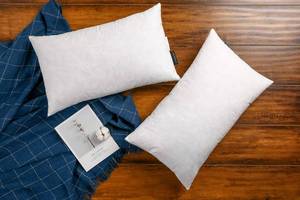 lot 3617 image: JA COMFORTS 12�20 Premium Goose Down Feather Throw Pillow Inserts(Set of 2)-5% Down Filling,High Filling Weight,250 TC Cotton Cover, Square, White