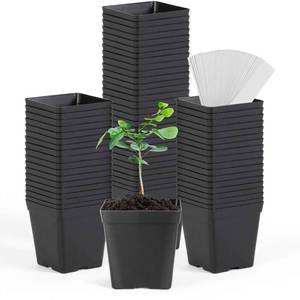 lot 11560 image: June Fox Square Nursery Pots 3.3 Inches Flexible Plastic Seedling Pots Square Pots for Plants, Succulent, Flower, Pack of 60, with 60 PCS Plant Labels