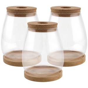 lot 19012 image: HAKZEON 3 PCS Plant Propagation Jars, Plants Terrarium Glass Vase with Lid and Wooden Tray, Glasses Planter Hydroponics Vase for Water Air Plants Indoor, Monstera, Orchid, Decor (2 ONLY)