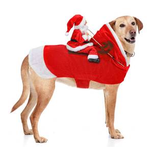 lot 19992 image: BWOGUE Santa Dog Costume Christmas Pet Clothes Santa Claus Riding Pet Cosplay Costumes Party Dressing up Dogs Cats Outfit for Small Medium Large Dogs Cats(LARGE) (used)