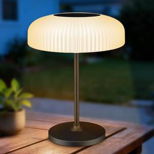 lot 20021 image: 2 Color Table Touch Lamp, Versatile Solar and USB-C Rechargeable Desk Lamp with IP65 Waterproof Design, IndoorOutdoor Ligh Perfect for the Patio, Garden, Camping, Bathroom, and Bedside Use.