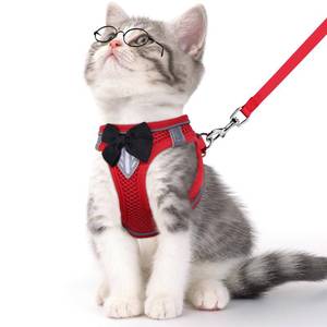 lot 20120 image: NCMAMA Cat Vest Harness and Leash Set for Walking, Escape Proof, Adjustable Kitten Harness, Breathable Mesh with Reflective Strips, Detective Conan-Inspired Design, Red, XS