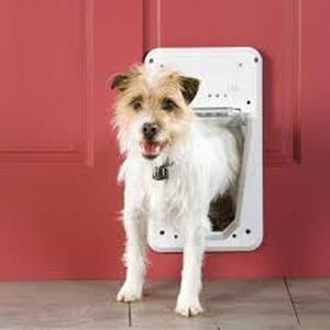 lot 3642 image: AJKJ Electronic Smart Pet Door
