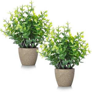 lot 12276 image: FAVOWREATH 2 Pack Fake Plants Ceramic Mini Artificial Greenery Potted Plants for Home Decor Office Decor Room Decor Farmhouse Decor Indoor Table Bathroom Decor