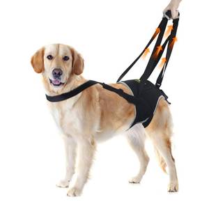 lot 18426 image: KISFLY Dog Lift Harness for Extra Large Dogs, Sling for Dogs Back Legs with Handle, Helps Support Weak Hind Legs and Prevent Slipping, Breathable and Easy to Wear, Size XL