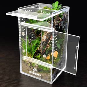 lot 6103 image: MYGIIKAKA Jumping Spider Enclosure Accessories, Tarantula Spider Box, Bug Cage, Praying Mantis Habitat Enclosure, Snail Insect Terrarium, Caterpillar Habitat (3x3x6 inch)