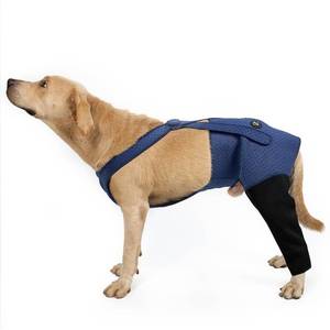 lot 18069 image: Coodeo Dog Recovery Suit, Cone Alternative - Abrasion Resistant, Waterproof & Washable 2.5mm Thick Sleeves to Prevent Licking, Biting Wounds (Blue, XL)