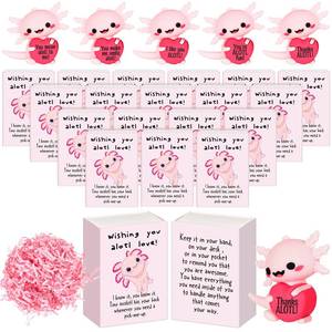 lot 19214 image: Cinnvoice 25 Set Bulk Employee Appreciation Gift for Social Worker Coworker Office Thank You Small Funny Desk Pets Cute Resin Ornament Party Favor Positive Volunteer Emotional Card Box (Axolotl)