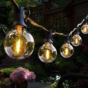 lot 17206 image: A 100ft of outdoor Lighting
