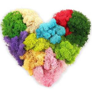 lot 18108 image: Canlierr 7 Oz Colored Fake Moss Preserved for Crafts Artificial Decorative Moss Faux Garden Dried Floral Forest for Terrariums Wall Decor Fairy Gardens Wedding Floral Project(Mixed Color)
