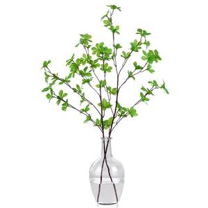 lot 19260 image: TkoYuHm 10 Inch Large Floor Vase Hydroponic Planter for Flowers Indoor Plants Clear Glass Jug for Home Decor Decorative Bubble Vase for Entryway Living Room Coffee Table