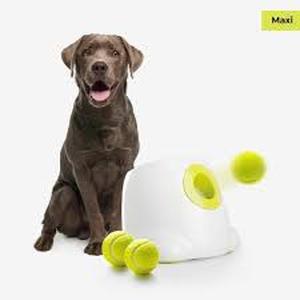 lot 11737 image: AFP Interactives Maxi Ball Launcher Dog Toy Turns On When Plugged in
