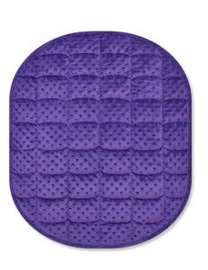 lot 4100 image: TONGDADA Weighted Lap Blanket 7lbs for Adult,Perfect for Relaxation, Lounging, Napping, Sleeping and Travel,Luxury Minky Weighted Body Blanket,Weighted Throw Blanket-Violet Minky Dot, 29 x 24inin