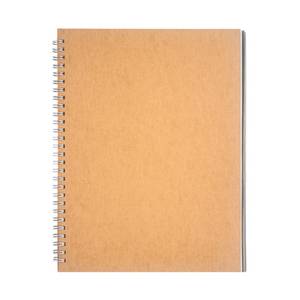 lot 14238 image: DSTELIN 10 inch x 7.5 inch, 100GSM, Blank Spiral Notebook, 1-Pack, Soft Cover, Sketch book, 100 Pages  50 Sheets, with writing backboard, (Brown)