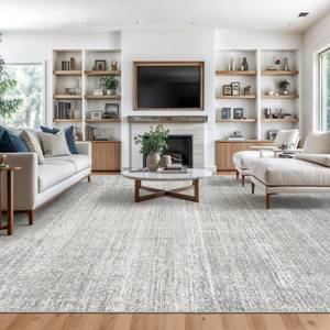 lot 17349 image: Valenrug Washable Rug 5x7 - Stain Resistant 5x7 Area Rugs for Living Room, Non Slip Backing Printed Rugs for Bedroom, Folable Machine Washable Area Rug (5ftx7ft, Grey)