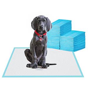 lot 19283 image: BESTLE Large Pet Training and Puppy Pads Pee Pad for Dogs 24x24in-80 Count Super Absorbent and Leak-Proofin