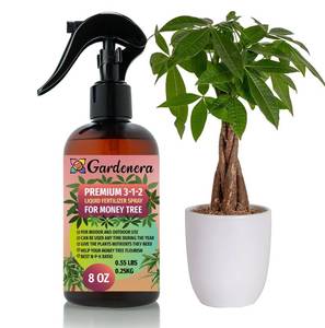 lot 20068 image: Gardenera Professional Money Tree Spray Fertilizer Mist for Home Gardening  3-1-2 Gentle Blend Mist for Healthy Leaves and Growth  Essential Nutrients for Money Tree - 8oz