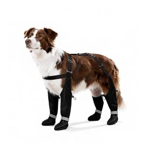 lot 20148 image: BillionChains Dog Boots with Adjustable Suspender, Anti-Slip Dog Shoes, Waterproof Paw Protector for Rainy, Snowy, Hot Pavement, L
