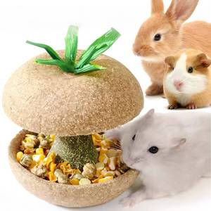 lot 20151 image: miniandmoe Hamster Chew Toys for Teeth - Guinea Pig Chew Toys for Teeth Food Chews Treats Hamster Cage Accessories for Rabbit, Bunny, Chinchilla, Rat and Small Animal 3.1in Apple Core Shaped