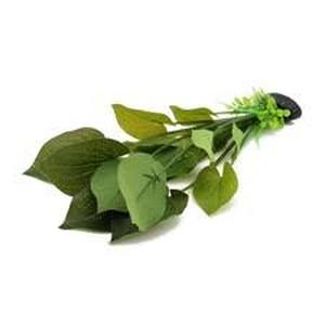 lot 14164 image: Mixed Aquarium Plants Starter Pack