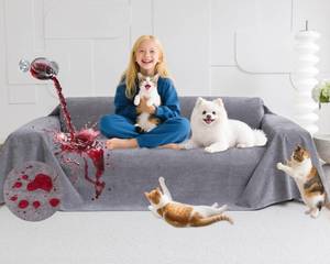 lot 1286 image: Loiion Couch Covers for 3 Cushion Couch, Gray Cat-Scratch Resistant Sofa Cover ��Pets Dogs Friendly Anti Slip Thickened Slipcovers Furniture Protector, Couch Protector for Pets and Kids 150X71